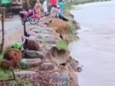 टेढ़ागाछ: मालीटोला गांव में कनकई नदी के कटाव से परेशान ग्रामीणों ने कटाव-रोधी कार्य की मांग की