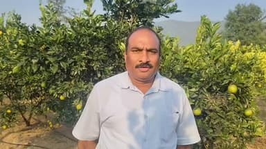 नमहोल: दुबई प्रतिनिधिमंडल ने एचपी शिवा परियोजना के फलों और कट फ्लावर के निर्यात में दिखाई गहरी रुचि