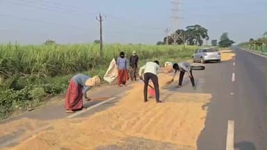 ઉમરપાડા: કમોસમી વરસાદ નું જોર ઘટતા સુરત જિલ્લાના ખેડૂતો પાક બચાવવાની કામગીરીમાં લાગ્યા.