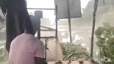 বনগাঁ: শনিবার বনগাঁ পৌরসভার উদ্যোগে ইছামতি নদীর কলঘাট এলাকায় কচুরিপানা কাটার কাজ চলছে