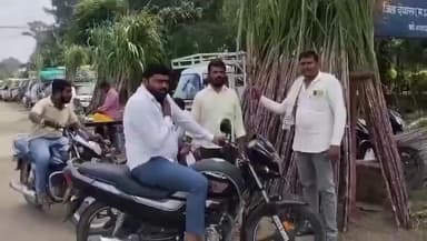 सतवास: सतवास में ग्यारस पर गन्ने की मिठास, दोपहर बाद खरीदारी में आई तेजी