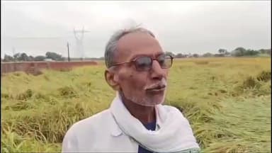सेवराई: गाजीपुर में भारी बारिश से धान की फसलों को हुआ भारी नुकसान : रामसरेख पटेल, किसान