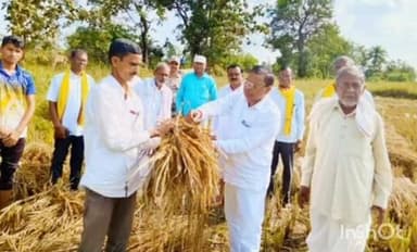 कुरखेडा: येगंलखेडा परीसरात धान पीकाचा नूकसानीची आमदार रामदास मसराम यानी केली पाहणी,तातडीने पंचनामे करण्याचे अधिकार्याना निर्देश