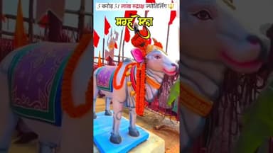 #prayagraj #maghmela2026 #mahakumbh #allahabad #viral