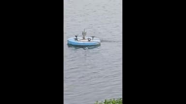 ಕಂಪ್ಲಿ: ಸೋಮಪ್ಪನ ಕೆರೆಯಲ್ಲಿ ಮೊಸಳೆ ಪ್ರತ್ಯಕ್ಷ : ಸಾರ್ವಜನಿಕರಲ್ಲಿ ಆತಂಕ