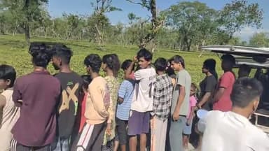 কালচিনি: মায়ের মৃত্যুর একমাস কাটেনি,আর তার মাঝেই চা বাগানের ভেতর থেকে উদ্ধার হল নাবালকের দেহ, চাঞ্চল্য কালচিনিতে