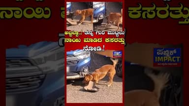 ಅಬ್ಬಬ್ಬಾ..! ತನ್ನ ಗುರಿ ಮುಟ್ಟಲು ನಾಯಿ ಮಾಡಿದ ಕಸರತ್ತು ನೋಡಿ.!