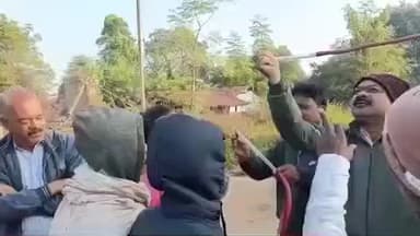 तांतनगर: तांतनगर-मंझारी प्रखंड के बड़ा तोरलो गाँव में मलेरिया विभाग ने मच्छड़ों का संग्रह किया