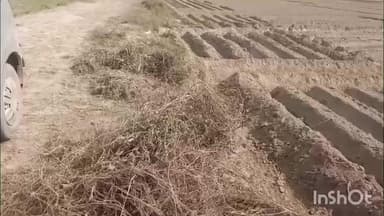 भोगांव: बेवर क्षेत्र में मनरेगा के नाम पर लाखों रुपए का बंदरबांट, सरकार की योजनाओं पर लगाया जा रहा पलीता