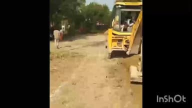 नवाबगंज: बाराबंकी में 45 साल बाद जंगल की जमीन मुक्त, 8.68 हेक्टेयर वन भूमि से हटाया गया अतिक्रमण