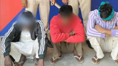 कालांवाली: पुलिस ने कालांवाली में सरसों चोरी की वारदात का किया पर्दाफाश, तीन आरोपी गिरफ्तार