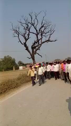 हल्दी कला up 25 बरेली से