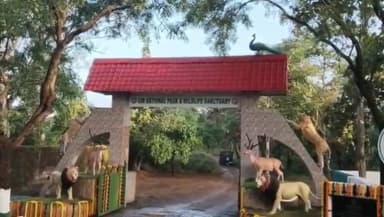 મેંદરડા: ફિલ્મ સ્ટાર અને મંડીની સાંસદ કંગના રાણાવત એ ગિર સાસણના બન્યા મહેમાન