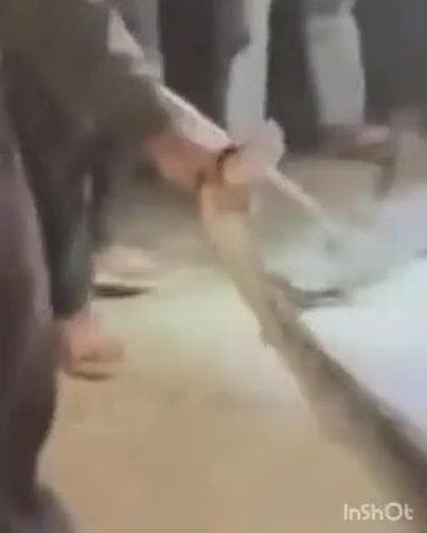 सलेमपुर: भटनी के रेलवे क्रॉसिंग के पास मिला अजगर, मचा हड़कंप, सपेरे ने पकड़कर छोटी गंडक नदी के पास छोड़ा