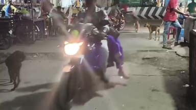 சாத்தூர்: நகராட்சி பகுதிகளில் ஆர்சி தெரு மெயின் ரோடு பகுதியில் தெரு நாய்களின் தொல்லை அதிகமாக இருப்பதால் நகராட்சி நிர்வாகம் கட்டுப்படுத்த பொதுமக்கள் கோரிக்கை