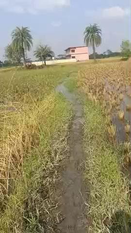 belsand kothi chauk gurusaran High school ke piche