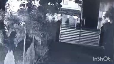 ઉમરગામ: ઉમરગામ તાલુકાના પાલીકરમબેલીમાં એક બંગલામાં ચોરીનો પ્રયાસ, હાઇટેક કેમેરામાં કેદ થઈ ચોરોની કરતૂત