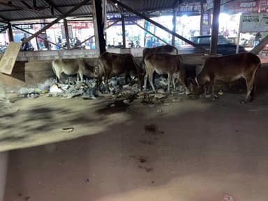 अभनपुर: अभनपुर नगरपालिका परिषद क्षेत्र में लगातार कचरे का ढेर आ रहा है, जनप्रतिनिधि भी मौन हैं