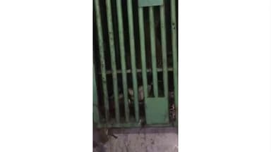 ઉમરપાડા: વાડી ગામે આંટાફેરા મારી રહેલ દીપડો પાંજરે પુરાયો.