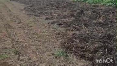 વિસાવદર: વિસાવદર તાલુકાના રાવણી કુબા ગામના ખેડૂતોમાં જોવા મળ્યો સરકાર સામે ભારે રોષ.