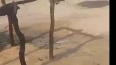 बज्जू: बज्जु के डेहरिया में झोंपड़े में आग लगने से मासूम जिंदा जल गया, MLA अंशुमान सिंह भाटी मौके पर पहुंचे