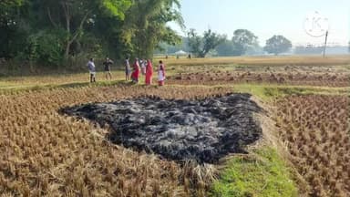 ବଡସାହି: ଚାଞ୍ଛିପଦା ଗାଁରେ ବାକିଦେବାକୁ ମନା କରିବାରୁ କ୍ଷେତରେ ଅମଳ ପାଇଁଥିବା ପାଚିଲା ଧାନଗଦାରେ ନିଆଁ ଲଗାଇଲେ ଉତ୍ୟକ୍ତ ଗ୍ରାହକ, ଥାନାରେ ଏତଲା ଦାଏର