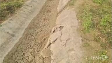 विजयराघवगढ़: कटनी में नवनिर्मित नहर का हाल: आठ महीने में ही जगह-जगह से टूटने लगी