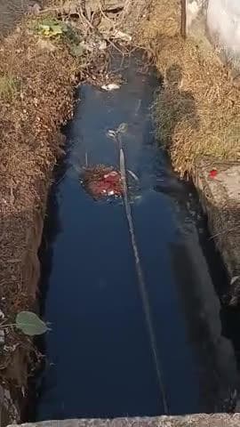 ward number 6 kanali saaf hone ka naam hi nahin le raha hai karmchari log ko bolo to Dhyan nahin de rahe hain Parshad Dh