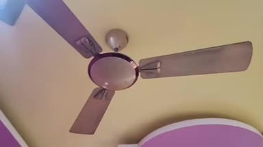 ডোমকল: এইমাত্র ভূমিকম্পে কেঁপে উঠল গোটা মুর্শিদাবাদ সহ ডোমকলের বিভিন্ন প্রান্ত