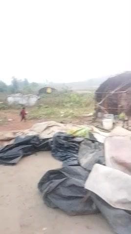 Raahat gadh mein jungle topper mein tour , thee hai jungle depart wal
@#yo@