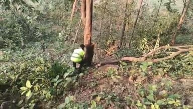 #मध्यप्रदेश के #सिंगरौली जिले में धारा 144 लगाकर के भारी पुलिस बल खड़ा करके #अडानी के कोल ब्लॉक को चालू करने के लिए नियम...