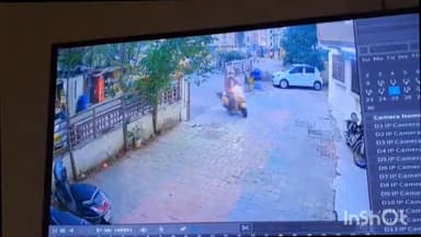 મણિનગર: પાલડીમાં રખડતા કૂતરાનો આતંક,CCTV ફૂટેજ આવ્યા સામે