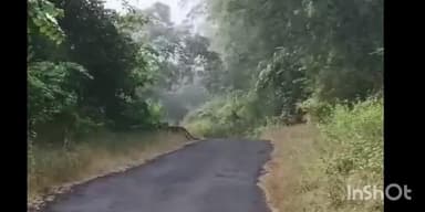 संगमेश्वर: संगमेश्वर तालुक्यात फणसवणे गुरवडी येथे रस्त्यावर दिवसाढवळ्या फिरतोय बिबट्या