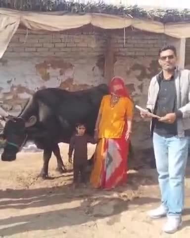 जायल: सुरपालिया गांव में पशुधन सहायक ने मंगल पशु बीमा योजना के बारे में पशुपालकों को दी जानकारी