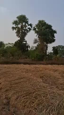 Baller Thana Sardara Gaon. Baka chhet Bihar. Dadhar Thana Sardara, Gaon Baka Bihar, akasi battees bar.\nE yahan coach ka