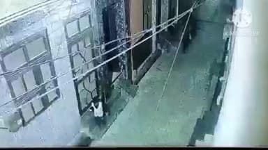 गन्नौर: गांधी नगर में घर के बाहर खेल रहे मासूम को आवारा सांड ने मारी टक्कर, बच्चा घायल