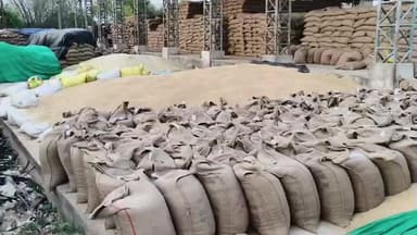 देवेंद्रनगर: पन्ना: धान खरीदी 1 दिसंबर से 20 जनवरी तक, कलेक्टर ने अधिकारियों को दिए निर्देश