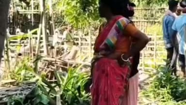 খড়িবাড়ি: খাবারের খোঁজে লোকালয়ে হাতির হানা, তান্ডবে ক্ষতিগ্রস্ত বুড়াগিঞ্জেত তিনটি বাড়ি