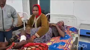 ନାକଟିଦେଉଳ: ହିତସରା ଗ୍ରାମରେ ଭାଲୁ ଆକ୍ରମଣରେ ଛେଳି ଚରାଳି ଆହତ