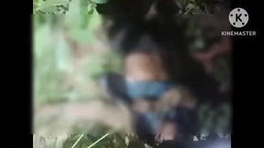 ଜୁଜୁମୁରା: ସାପଡଗର ଗ୍ରାମରେ ହାତୀ ଆକ୍ରମଣରେ ଚାଷୀ ମୃତ