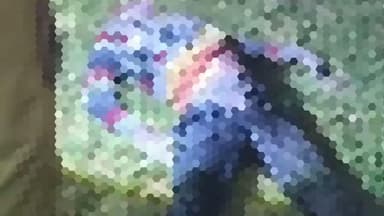 #देवरिया में घर से था लापता व्यक्ति और मिली यह जानकारी हर कोई हैरान #Deorianews #UpNews #Deorianews