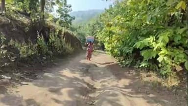 નસવાડી: નસવાડીમાં ક્યાં છે વિકાસ? કાચા રસ્તા હોય SIRની કામગીરીને લઈ મહિલા BLO ઝેરોક્ષ મશીન માથે મૂકીને ગઈ,જુઓ