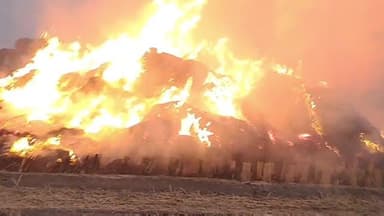 सिरसा: गांव बाजेकां में नशेड़ी युवक ने खेत में जमा पराली को लगाई आग, ग्रामीणों ने पकड़कर पुलिस को बुलाया