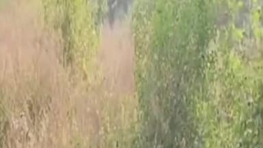 रेवाड़ी: रेवाड़ी: 20 करोड़ की विवादित जमीन की फर्जी आईडी, पूर्व मंत्री ने लगाया मिलीभगत का आरोप, DC ने बनाई जांच कमेटी