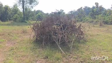 જલાલપોર: નવસારી: વાડા ગામ પાસે ચાર તારીખે છે દીપડો દેખાયો હતો તેના સીસીટીવી વાયરલ થયા હતા સમગ્ર ઘટનાને લઈને સ્થાનિક એ આપી માહિતી