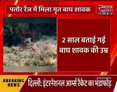 बांधवगढ़ टाइगर रिजर्व में बाघ शावक की हुई मौत
#स्वराजexpresssmbc #bandhavgarhnationalpark