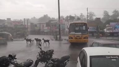 பெரியகுளம்: பெரியகுளம் மற்றும் தேனி சுற்றுப்புற பகுதி களில் மாலையில் திடீரென பலத்த காற்றோ டு 1மணி நேரத்திற்கும் மேல் மழை பெய்தது