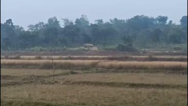 नीमडीह: जुगीलंग गांव में दिन के उजाले में झुंड से बिछड़ा जंगली हाथी निकला