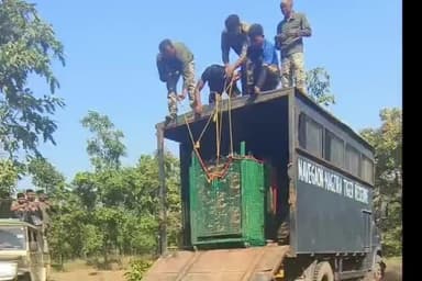 लाखांदूर: खोलमारा गावात विहिरीत पडलेल्या बिबट्याला दिले जीवनदान; लाखांदूर वन विभागाची कारवाई