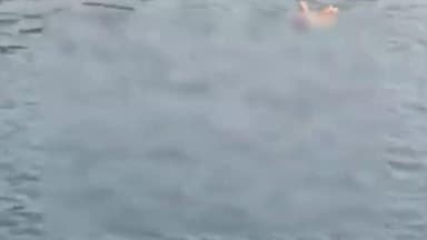 ગોધરા: તાલુકાના કબીરપૂર ગામ પાસેની નર્મદા મુખ્ય કેનાલમાંથી અજાણ્યા વ્યક્તિનો મૃતદેહ મળી આવતા પોલીસ ધ્વારા તપાસ હાથ ધરવામાં આવી